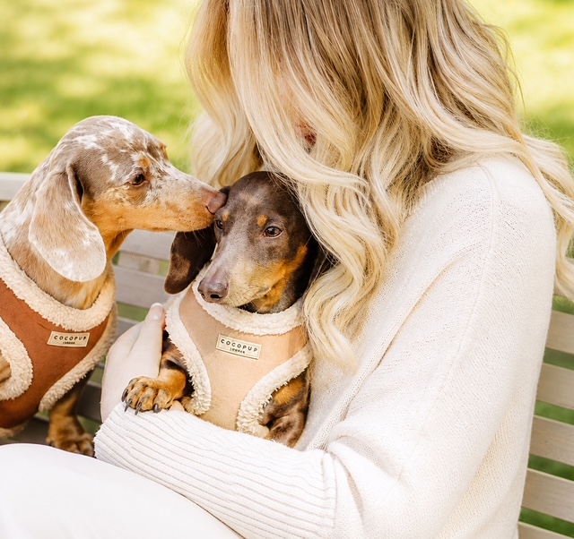 Dr Rachel Megahy — compassionate, specialist pet loss support